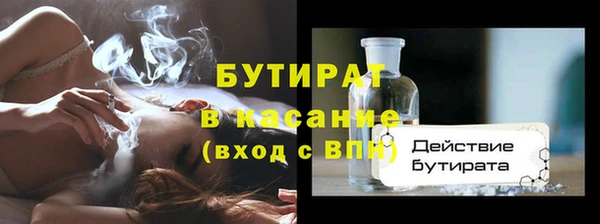 прущие грибы Сясьстрой