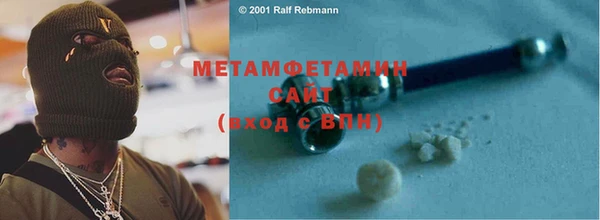прущие грибы Сясьстрой