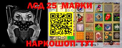 крисы Гусев