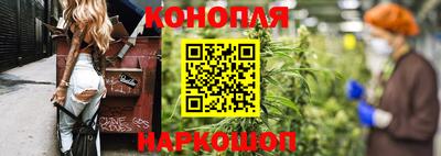 крисы Гусев
