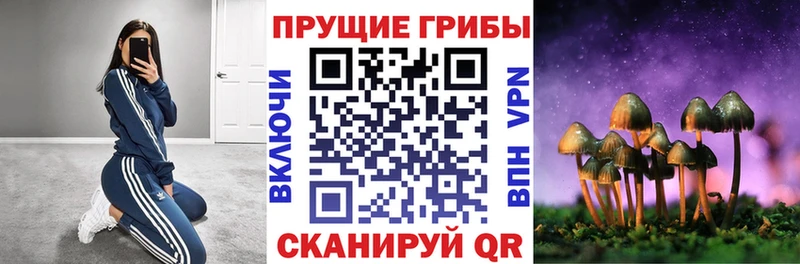 Галлюциногенные грибы Cubensis  Татарск 